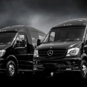 Signature Series – Mauck3 – LTV